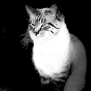 Meet your Posher, Kendra